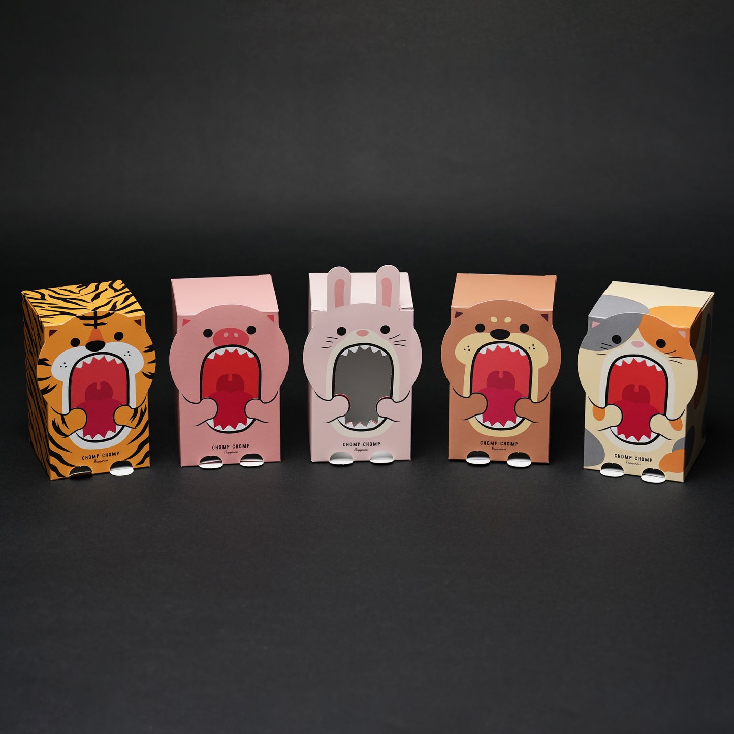 ガオーBOX 【5個セット】
