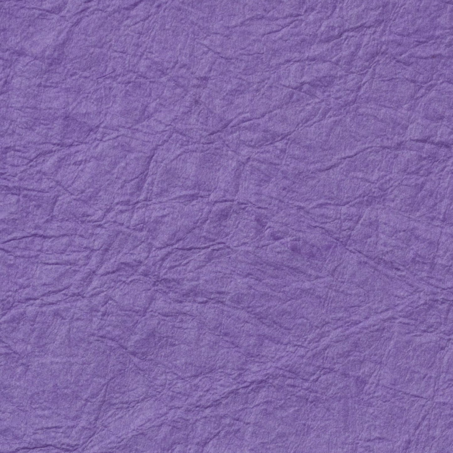 強性紙 紫