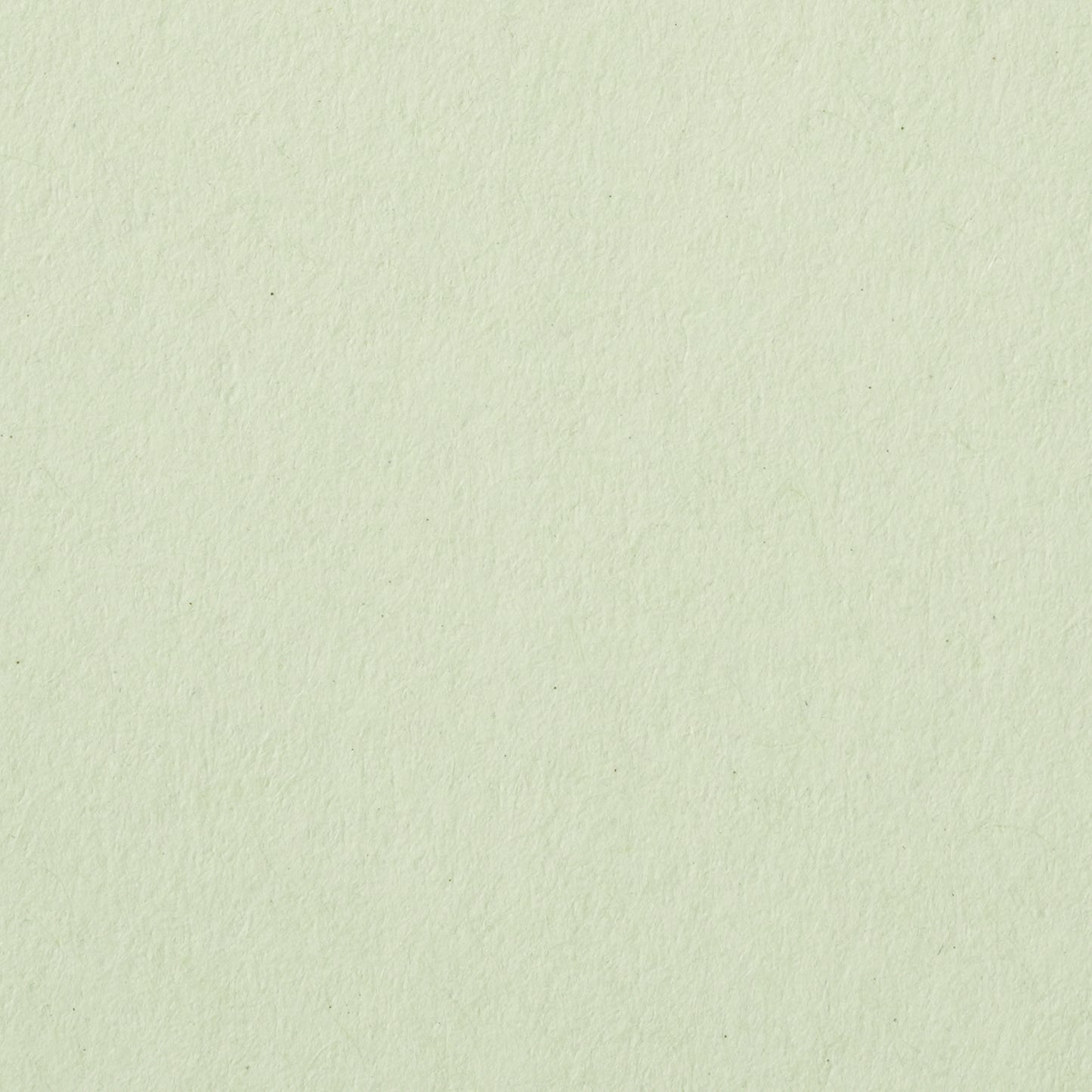 色上質【厚口】若草