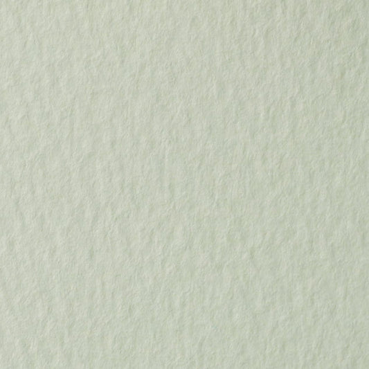 【全60色】マーメイド 240kg メロン