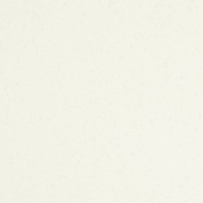 シャイナー【70kg】白