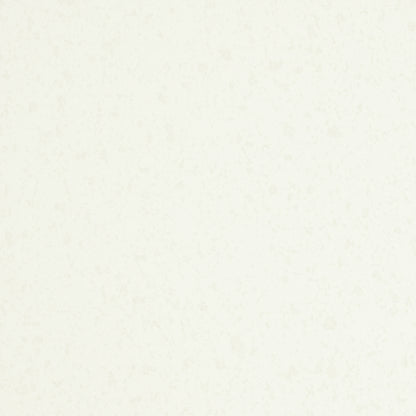 シャイナー【70kg】雪