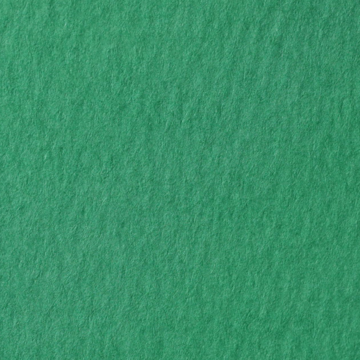マーメイド【240kg】緑