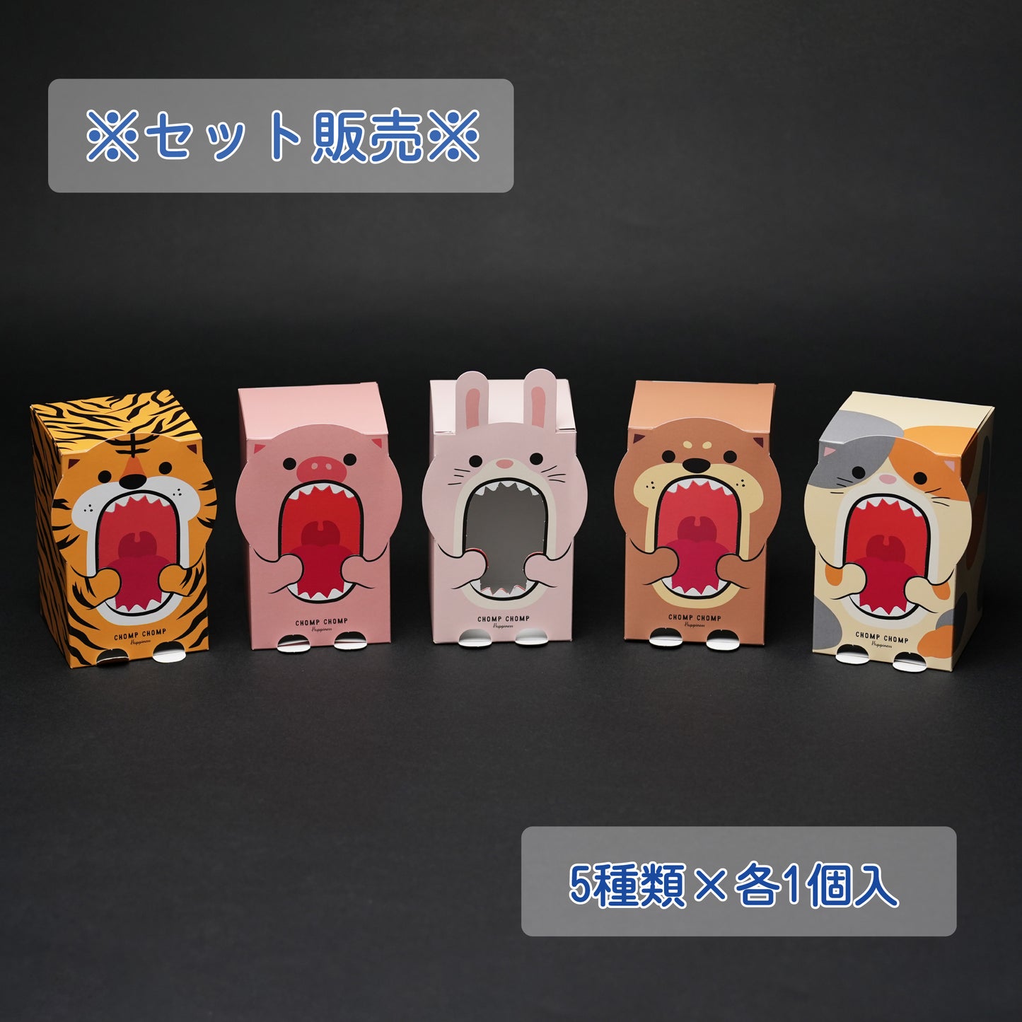 ガオーBOX 【5個セット】