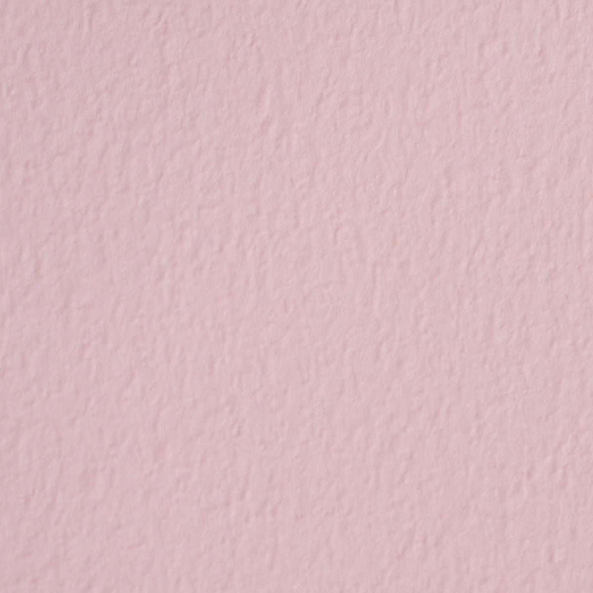 タント【100kg】 C-54