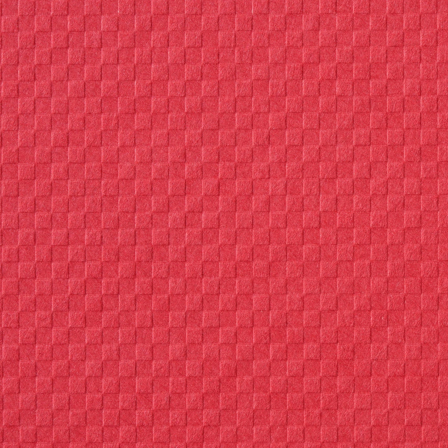 ICHIMATSU【70kg】サンライズレッド