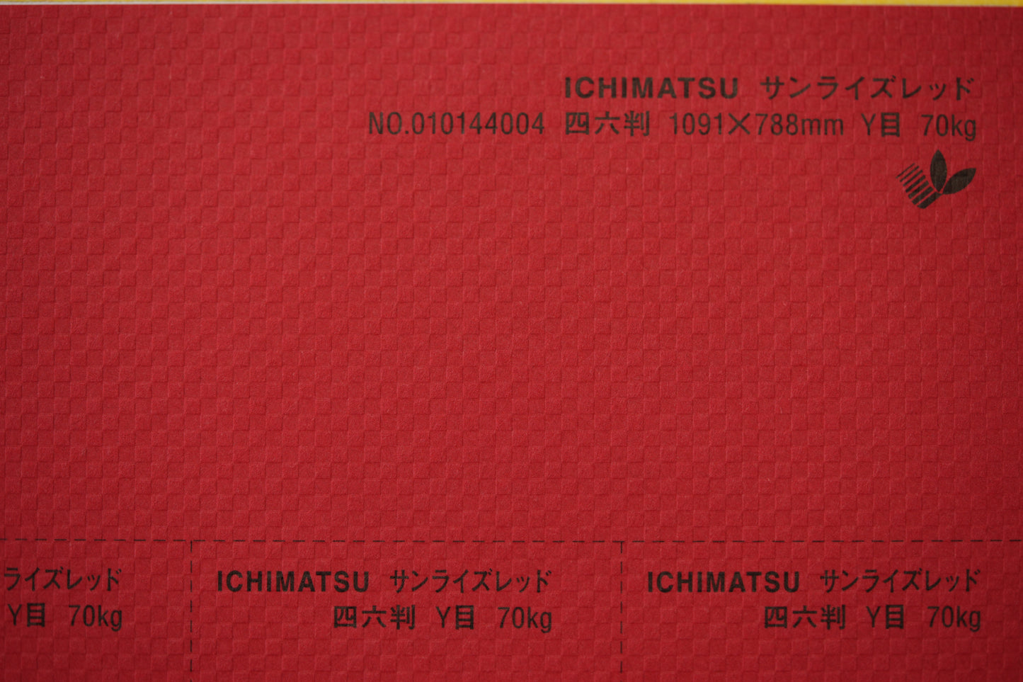 ICHIMATSU 4/6Y【95kg】サンライズレッド