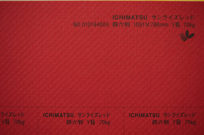 ICHIMATSU 4/6Y【95kg】サンライズレッド