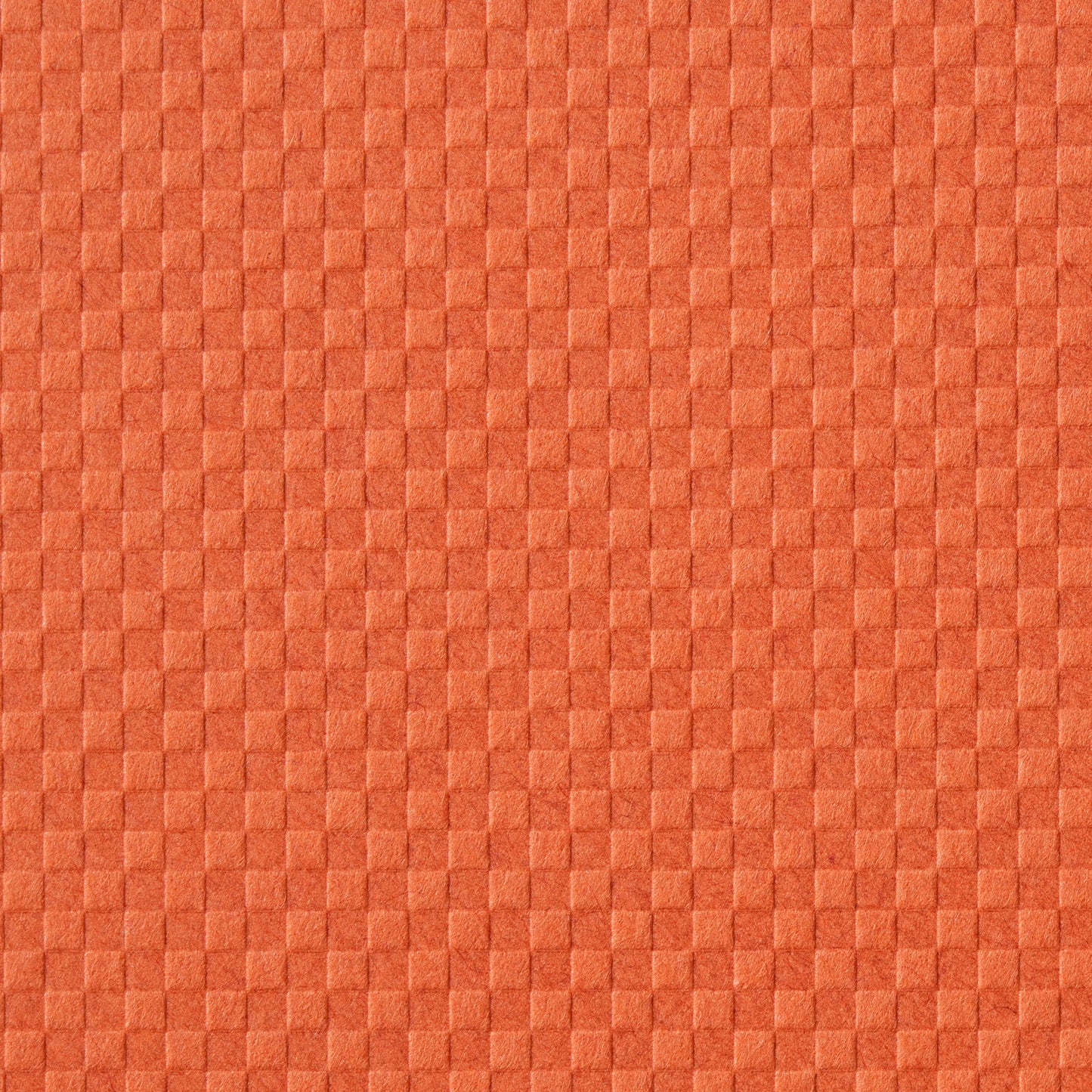 ICHIMATSU【70kg】マンゴーオレンジ