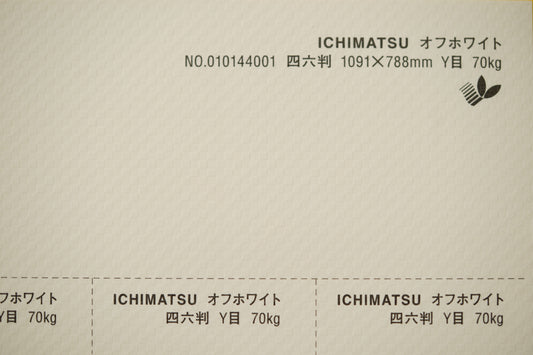 ICHIMATSU 4/6Y【175kg】ホワイト