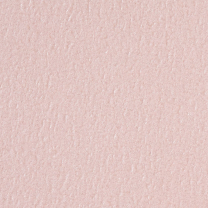 【アウトレット品】タントキラ A4【100kg】K-54