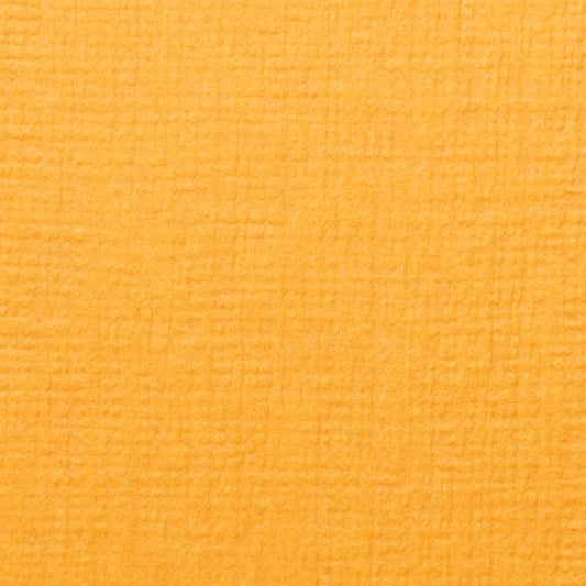 【アウトレット品】NTほそおりGA A4【100kg】山吹