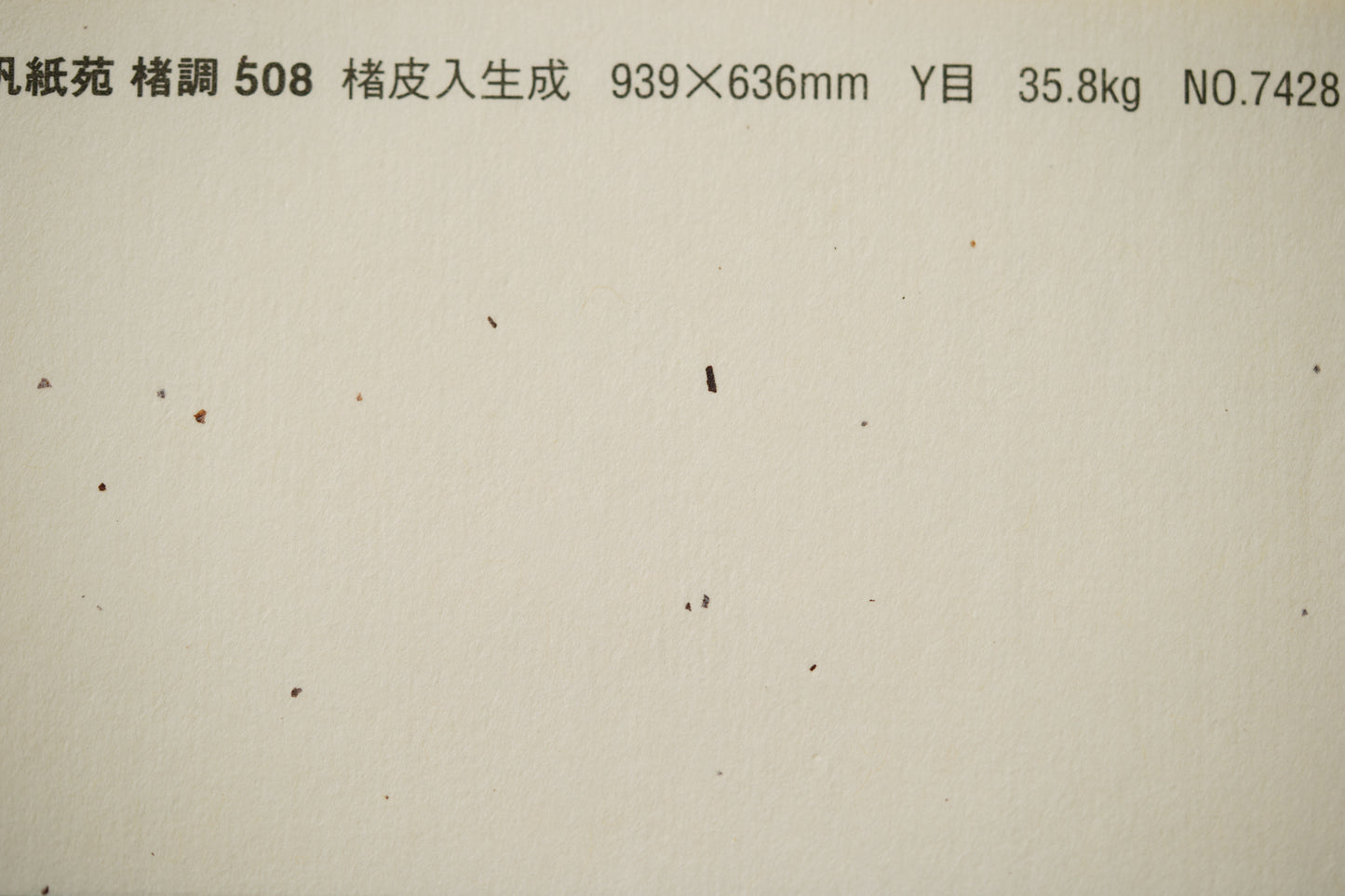 汎紙苑 菊Y【35】 楮皮入生成