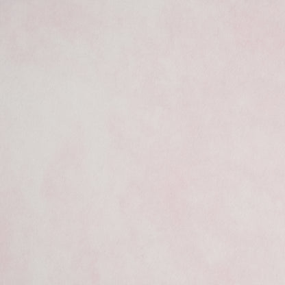 アトモス【120kg】レッド