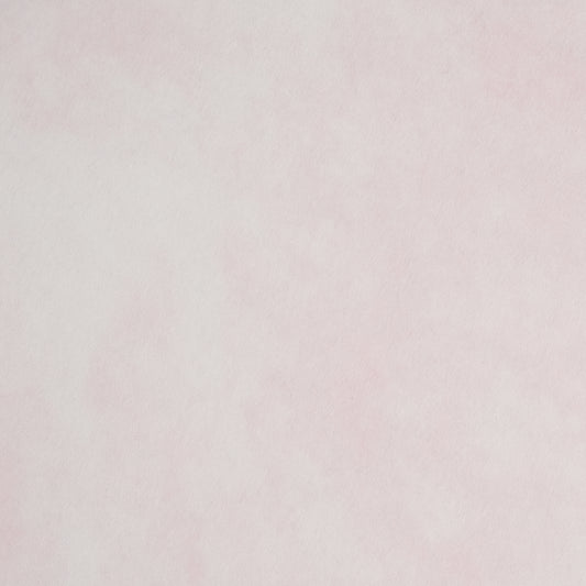 アトモス【65kg】レッド